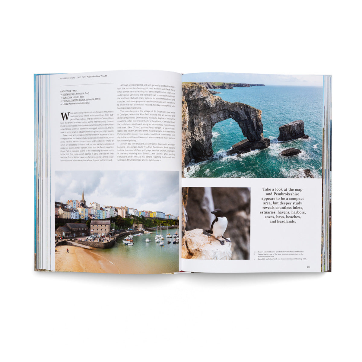 Cover of 'Wanderlust British & Irish Isles' by gestalten and Alex Roddie, featuring a scenic photograph of a coastal hiking trail, representing the book's focus on exploring the natural beauty and cultural heritage of the British and Irish Isles.
