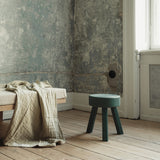 AML stool
