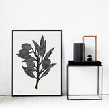 Eikenhouten lijst 50 x 70 cm