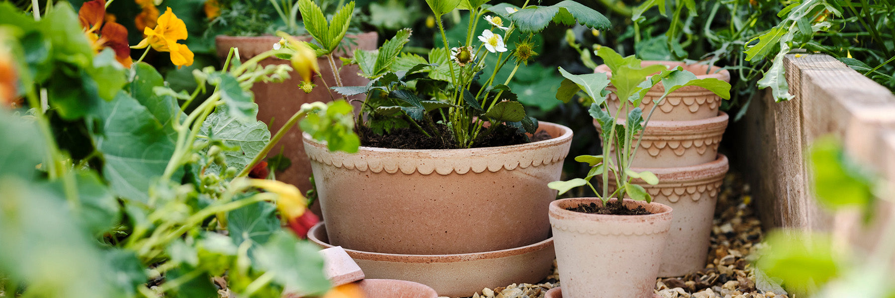 Bergs Potter terracotta plant pots By Mölle