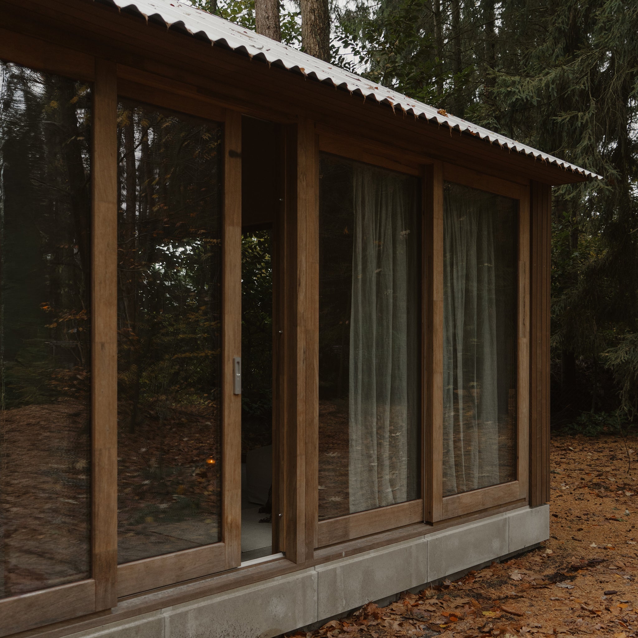 Cabin in the woods