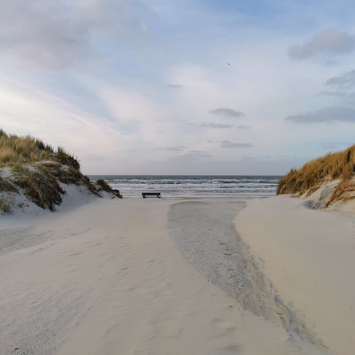 Heerlijk strandhuis op Ameland | By Mölle