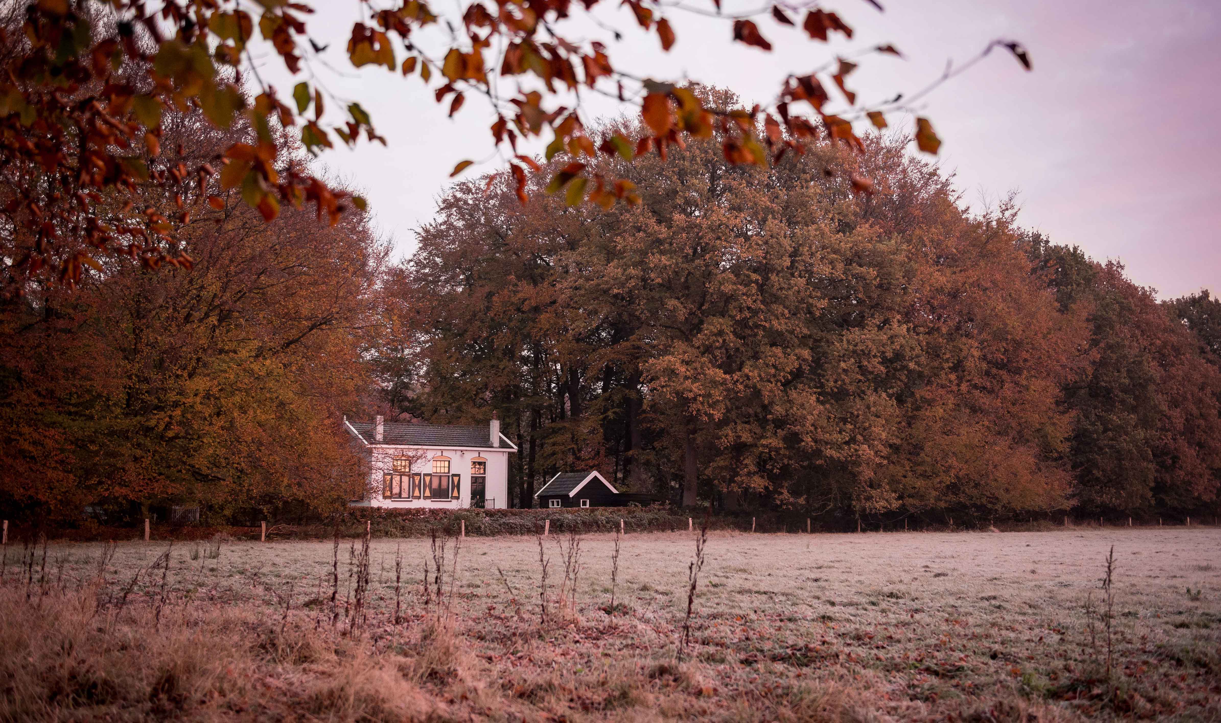 Stay at ’t Witte Huis