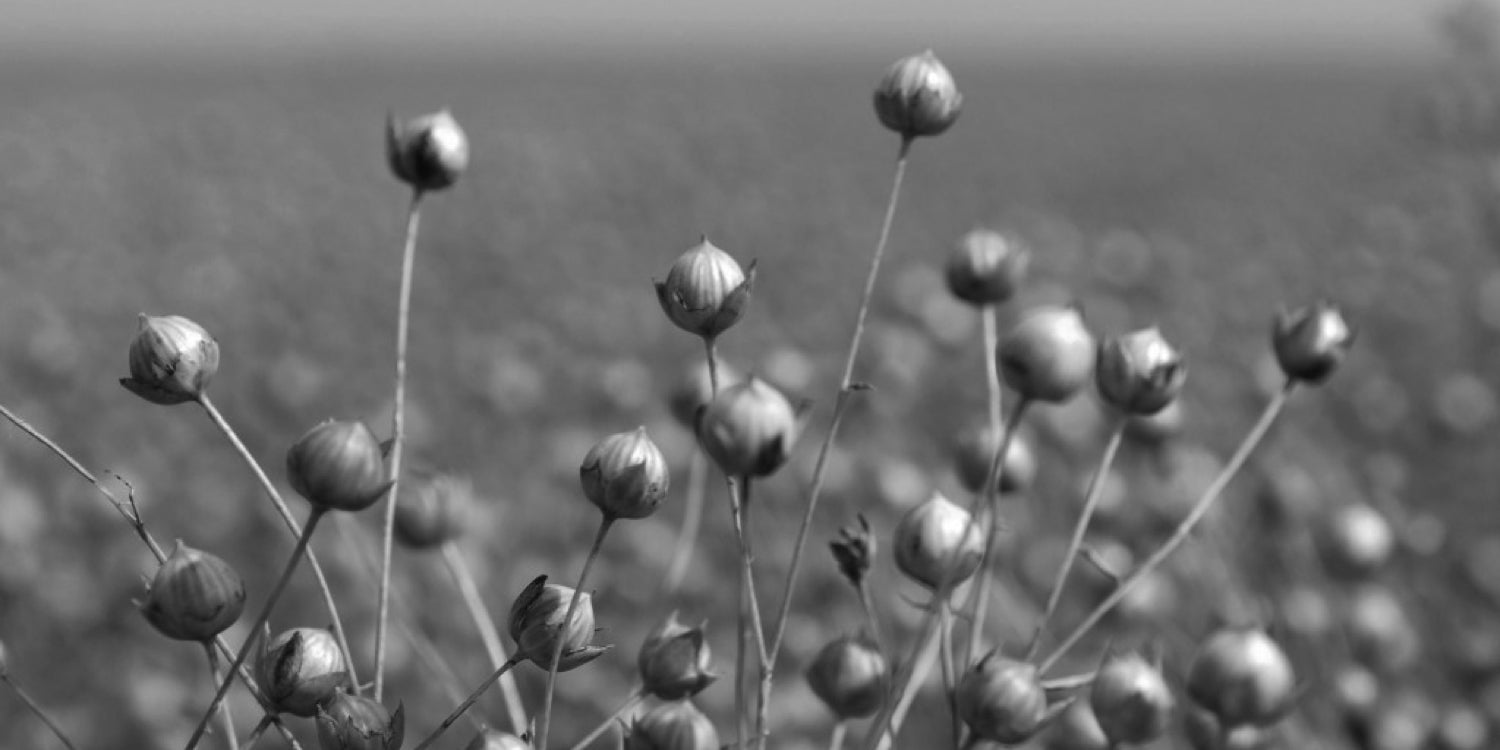 100% natural linen from Europe