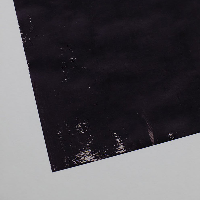 By Mölle kunst print van Ana Frois, Black ginkgo detail