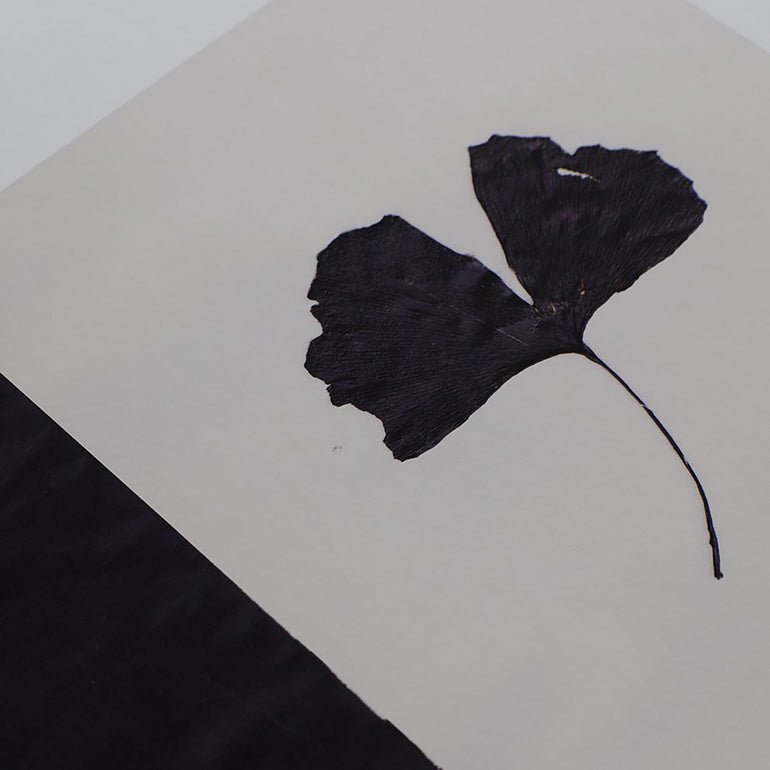 By Mölle kunst print van Ana Frois, Black ginkgo close up