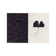 By Mölle kunst print van Ana Frois, Black Ginkgo
