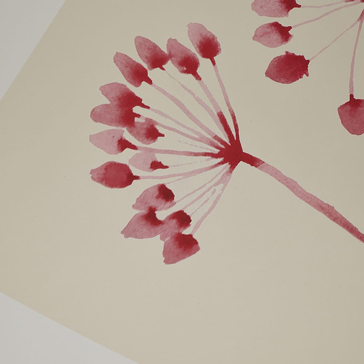 By Mölle kunst print van Ana Frois, Flowers 02 detail