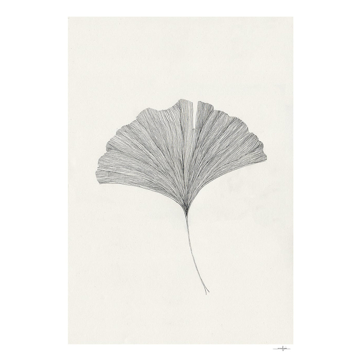 By Mölle kunst print van Ana Frois, Ginkgo leaf