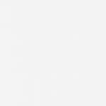 bamboe blind in de kleur white