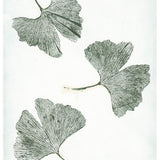 Ginkgo green limited edition print