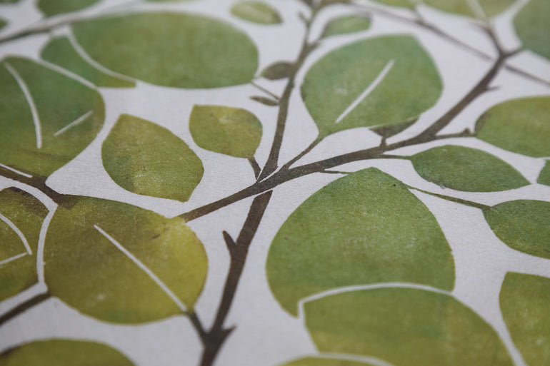 Spring Beech Leaf print